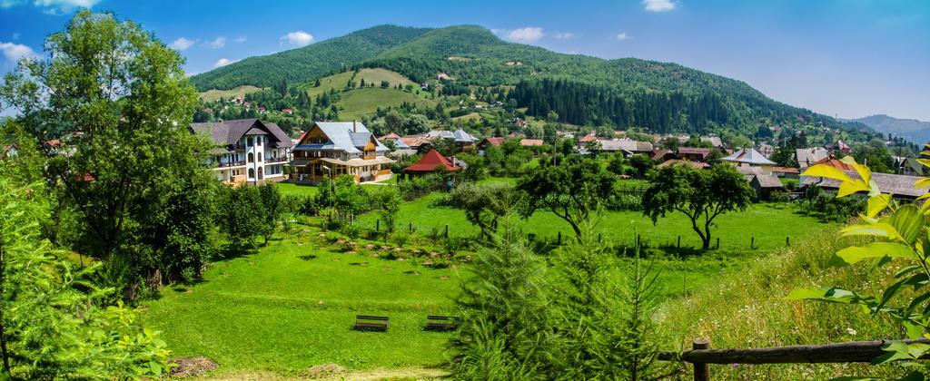 Pensiunea Casa Elvira Вама Екстериор снимка