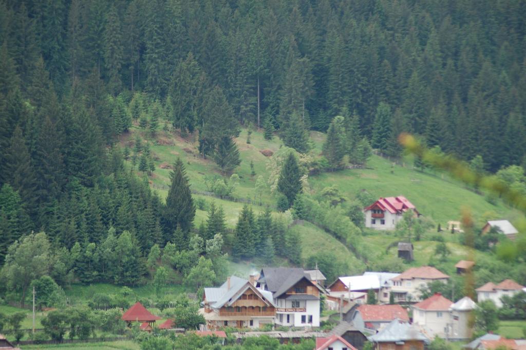 Pensiunea Casa Elvira Вама Екстериор снимка